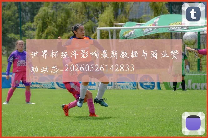 世界杯经济影响最新数据与商业赞助动态_20260526142833